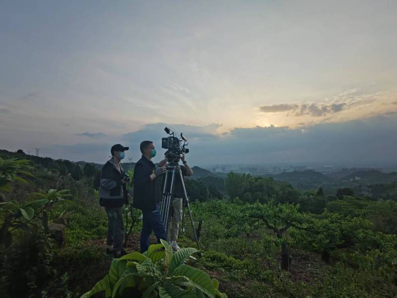 创意破圈！普宁市电商产品宣传视频用故事化叙事引爆流量